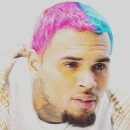 Chris Brown Blonde Hairstyles Black and Purple Color Hairstyle