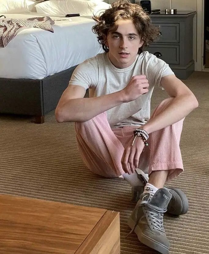  Timothee Chalamet's Beautiful Hair