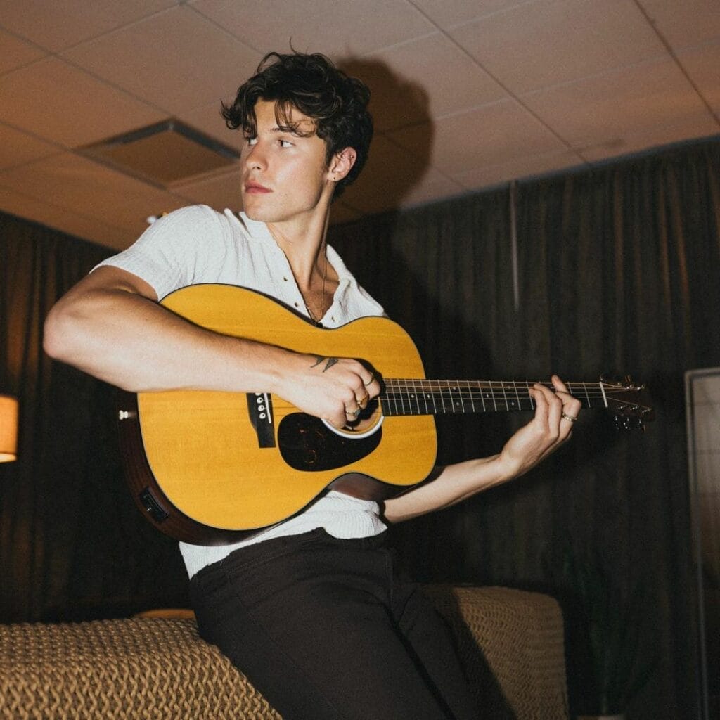 Celebrities Haircuts: Must-Have Styles for a Fresh New Look 15 Shawn Mendes' Signature Hair