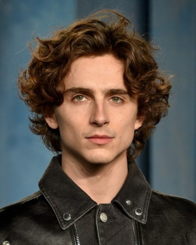 Celebrities Haircuts: Must-Have Styles for a Fresh New Look 17 Timothée Chalamet's Flow Haircut