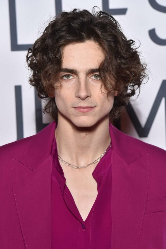 timothee chalamet lead 2000 4b1886e73e764ce68c320deacc490411 23 Celebrities Who Prove Flow Haircuts Are Hot Right Now