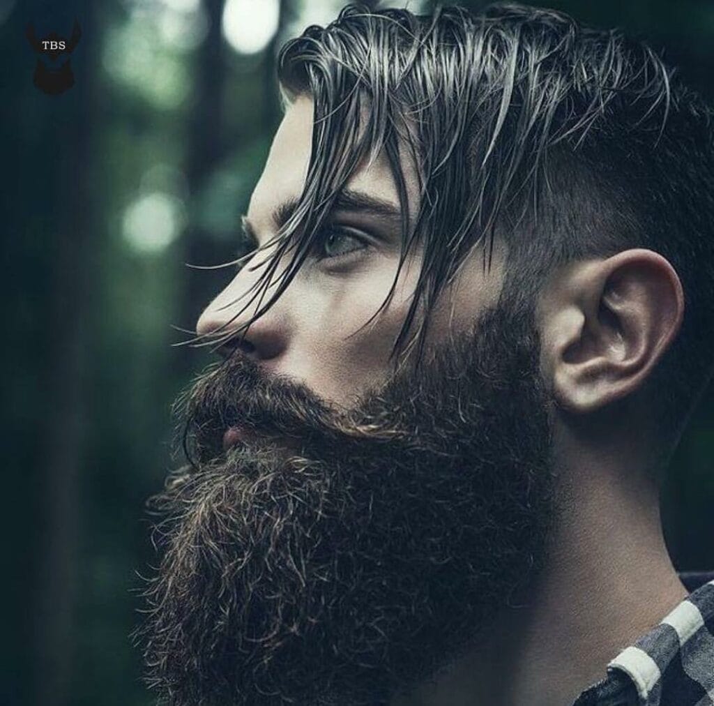 Viking Beard with English Mustache