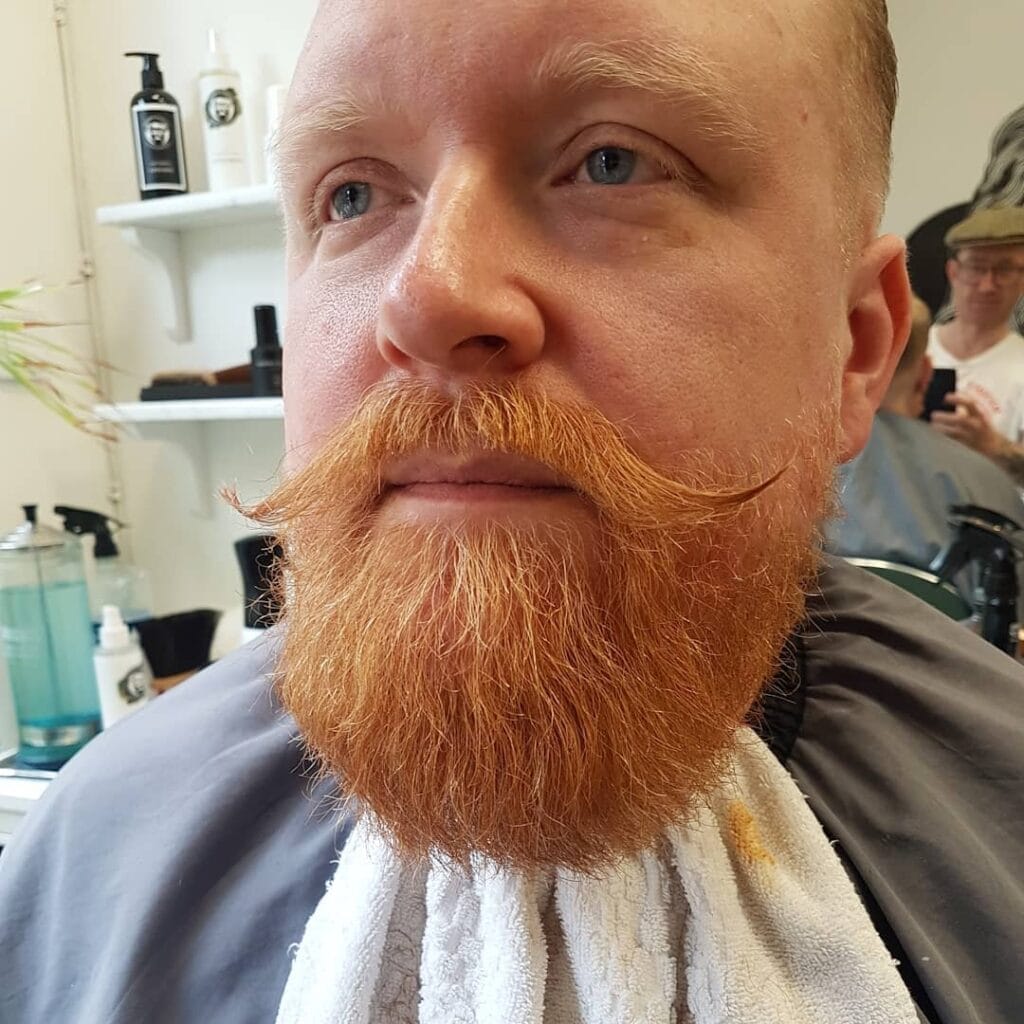 Do You Want to Know My Secret to Boxed Beard? 18 Boxed Beard