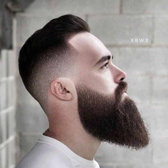 Professional beard styles
