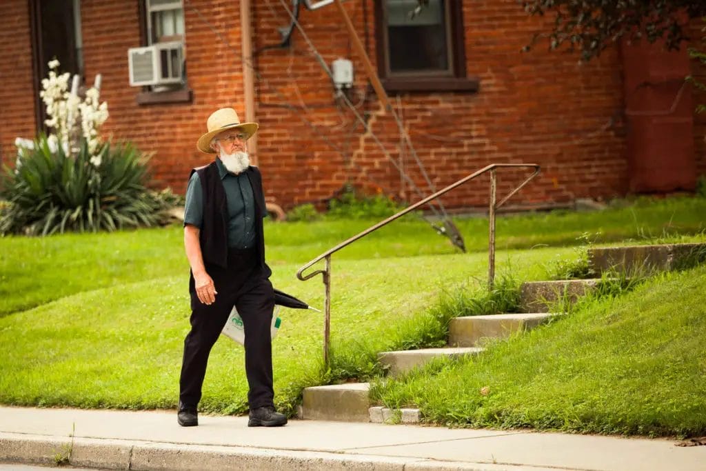 amish beard