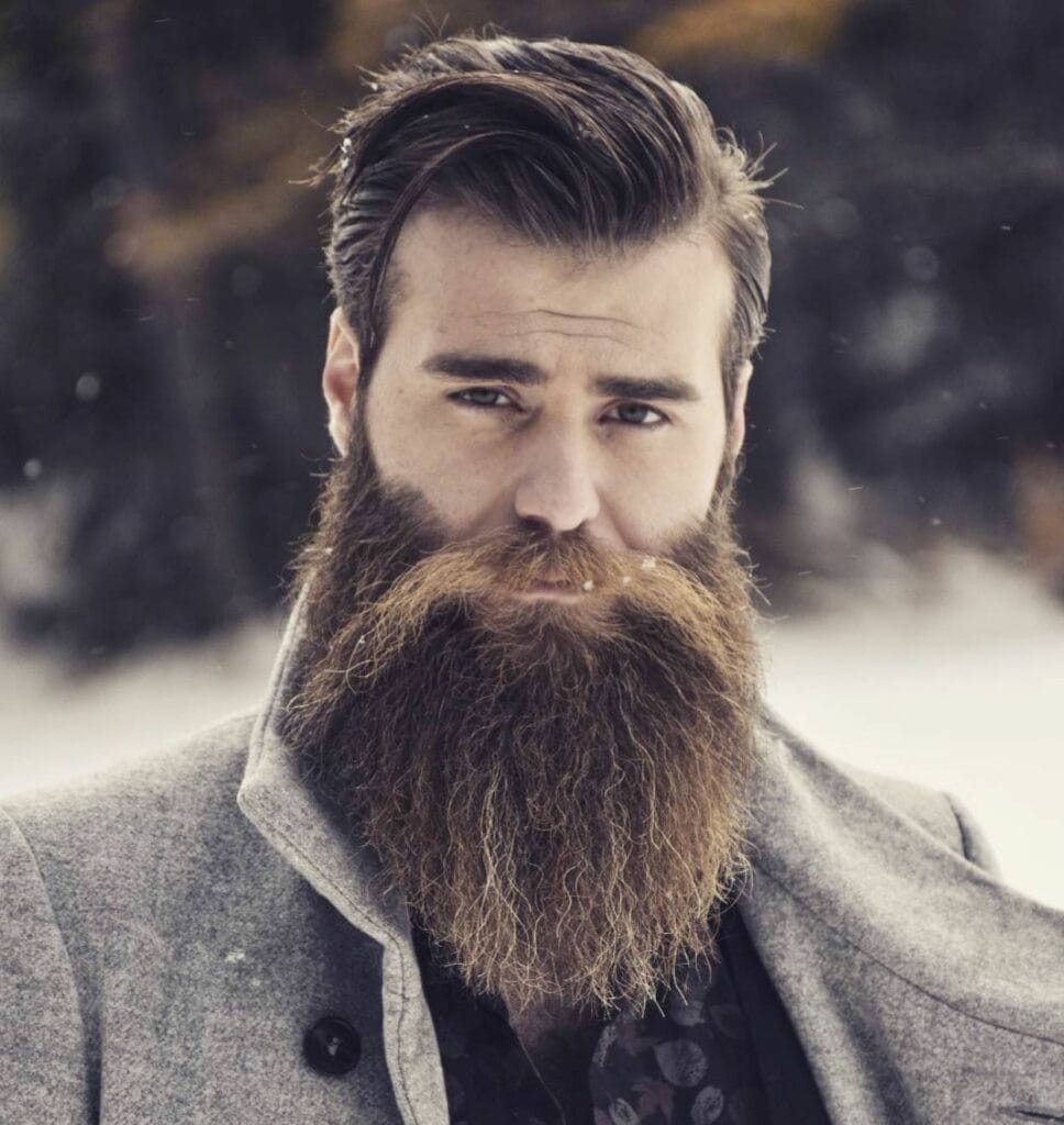top notch Hipster Beards Styles