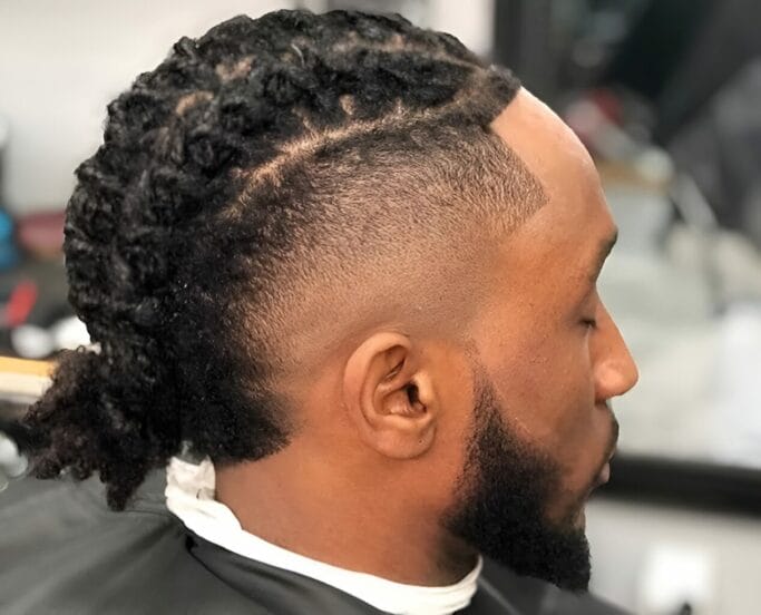 Male 2-Strand Twist Hairstyle