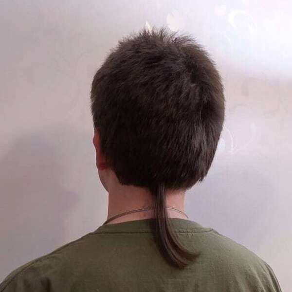 Rat Tail Hairstyles for Men: Bold & Daring Hairstyles Revival 18 Fishtail Braid Rat Tail