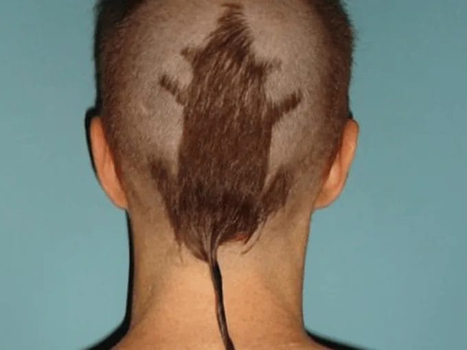 Rat Splat Hairstyle