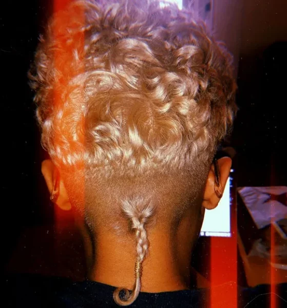 Rat Tail Hairstyles for Men: Bold & Daring Hairstyles Revival 20 Rat Splat Hairstyle