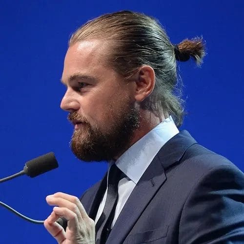 Elegant Leonardo DiCaprio Hairstyles